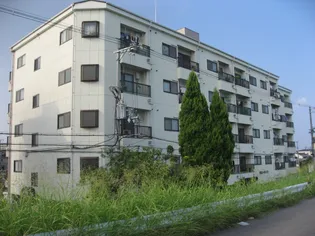 第3コーポリベラの画像