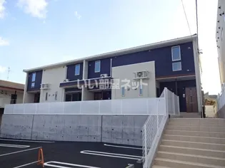 ヴァイオレットの画像