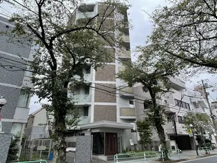 エルセレッソの画像