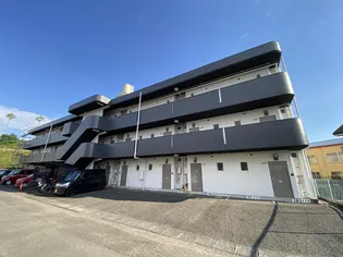 シャルムKの画像