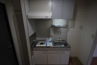 ハピネスM1【1階】のキッチン