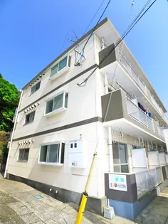 桜島ビューハイツ【1階】の外観