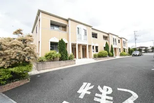 LIEN COLLINEの画像