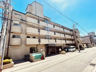 チェリーコートの画像