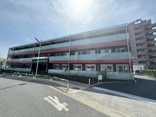 VORTEX SETAの画像