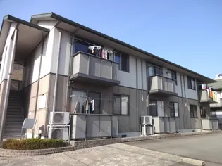 CONFAR GUCCIの画像