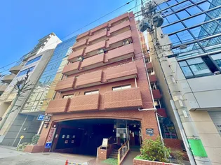 ニュ-ライフ平野町【7階】の外観