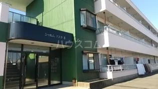 シャルムマスダIIの画像