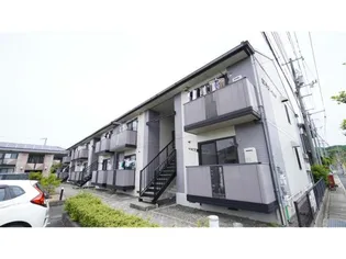 センチュリー シバタの画像