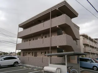 センチュリーの画像