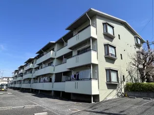 埼玉県さいたま市見沼区東大宮1【マンション】の外観