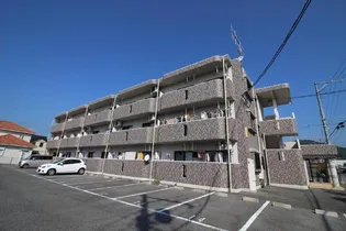 フリージアの画像