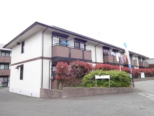 シャルムⅣの画像