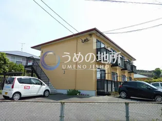 フローラルコートの画像