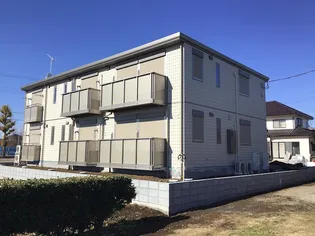 ステラコートの画像