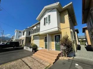 スプリングハーモニーの画像