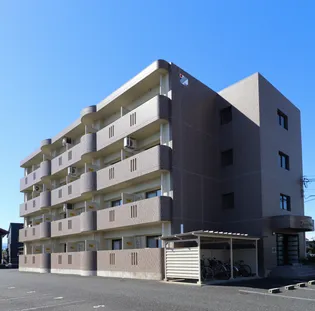 フォレスト コンフォートの画像