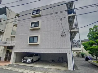 ミュールブランの画像