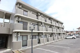 ビバリーヒルズ真鍋の画像