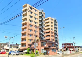 ルートピア平和の画像