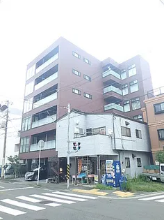 KAEDEの画像