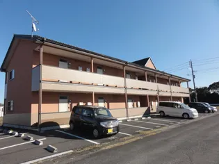 コモドカーサの画像