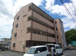 静岡県浜松市中央区根洗町【マンション】の外観