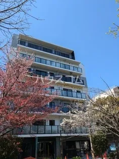 Alivis西葛西sulista【1階】の外観