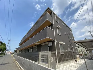 シャイングレイスの画像