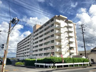 サンライズ姶良【6階】の外観