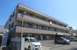 アンジェリークの画像