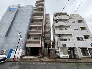 マーリエの画像