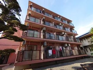 静岡県浜松市中央区根洗町【マンション】の外観