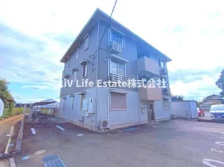 シェーン アネーロの画像