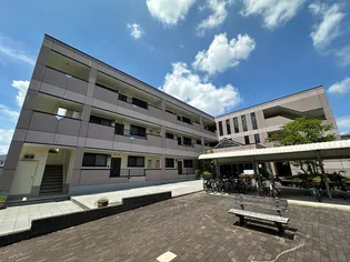 ライリッヒ ストーレの画像