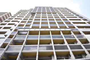 プロジェクト2100博多ナンバー48の画像