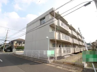 大金平ハイツの画像