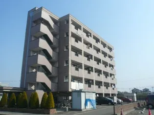 シーベルの画像