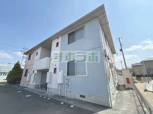 シュシュの画像