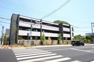 クレメンティアの画像