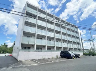 ラクーンD3の画像