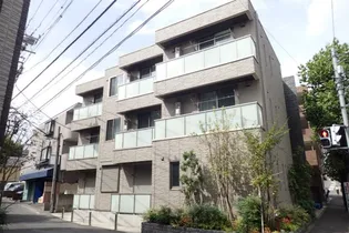 スカビオサ高石の画像