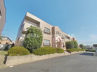 シャングリラの画像