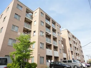 エースカIの画像