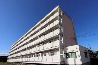 岩手県胆沢郡金ケ崎町西根宿内川【マンション】の外観