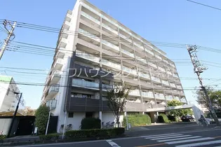 ルネ川口アグリアの画像