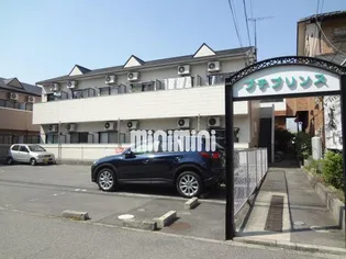 プチプリンスの画像