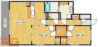 アインス和泉【4階】の間取り