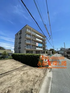 アインス和泉の画像