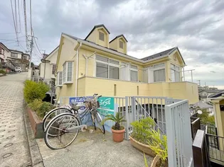 シャルルカツマタAの画像